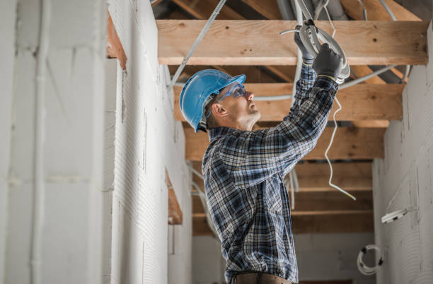 Best Electric Panel Repair  in Greenfield, TN